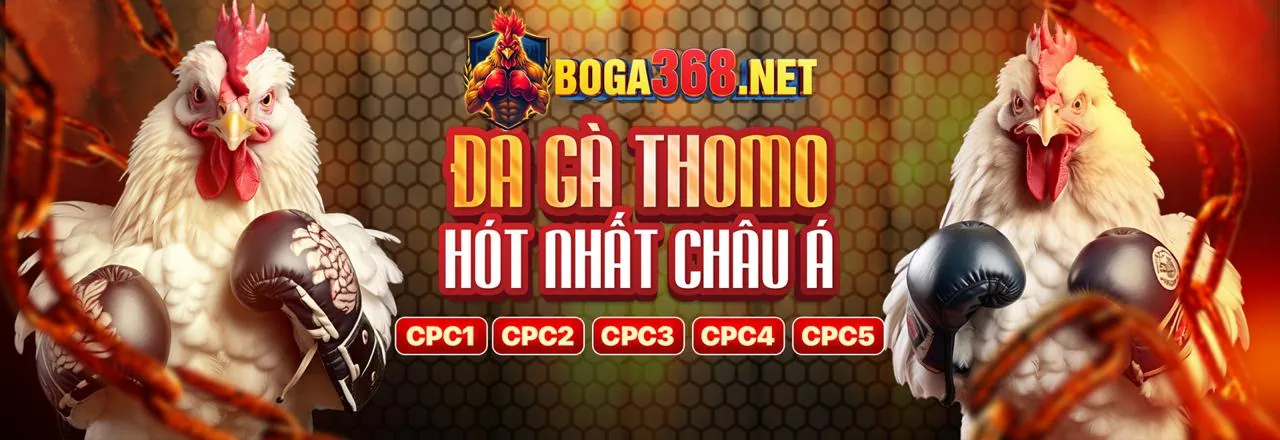 Đá Gà 168ff