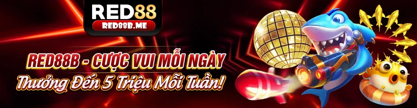 Hoàn Trả Cược Cao